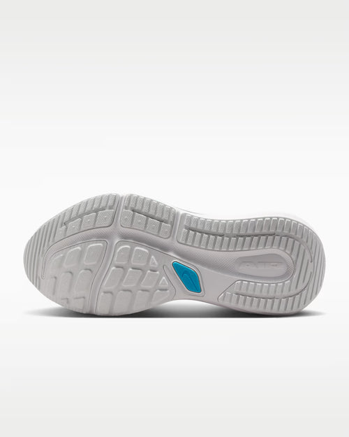 Calzado de correr para hombre Nike Winflo 12