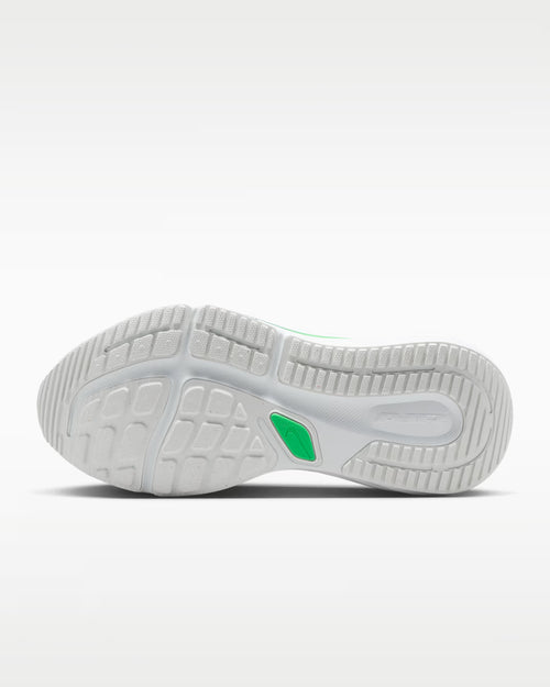 Calzado de correr para hombre Nike Winflo 12