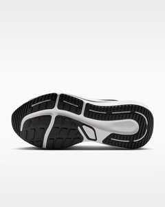 Calzado de correr para hombre Nike Winflo 12