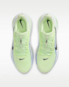 Calzado de correr para hombre Nike Winflo 12