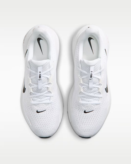 Calzado de correr para hombre Nike Winflo 12