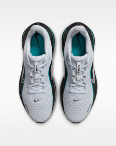 Calzado de correr para hombre Nike Winflo 12