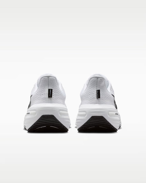 Calzado de correr para hombre Nike Winflo 12