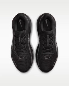 Calzado de correr para hombre Nike Winflo 12
