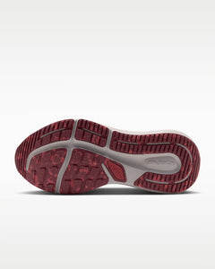 Calzado de correr para hombre Nike Winflo 12