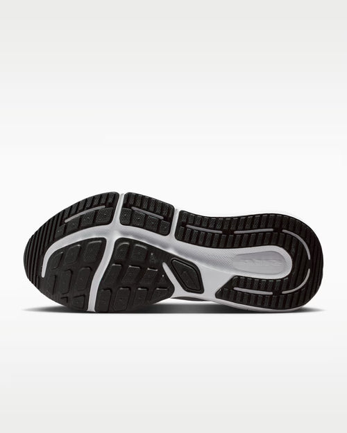 Calzado de correr para hombre Nike Winflo 12