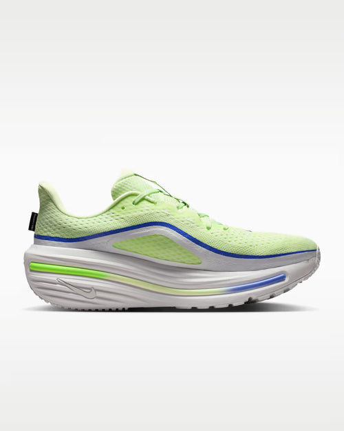 Calzado de correr para hombre Nike Winflo 12