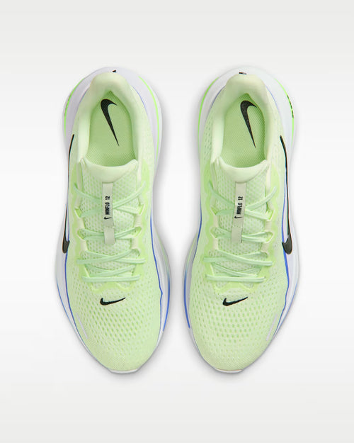 Calzado de correr para hombre Nike Winflo 12
