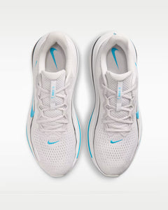 Calzado de correr para hombre Nike Winflo 12