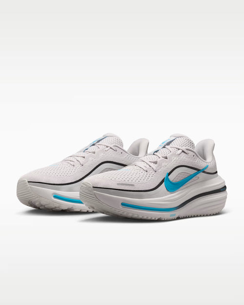 Calzado de correr para hombre Nike Winflo 12