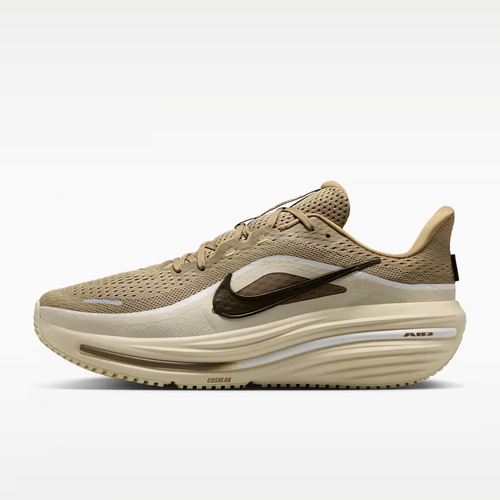 Calzado de correr para hombre Nike Winflo 12