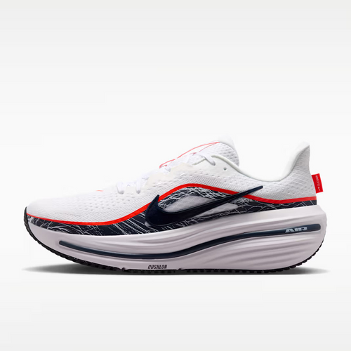 Calzado de correr para hombre Nike Winflo 12