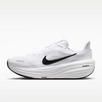 Calzado de correr para hombre Nike Winflo 12