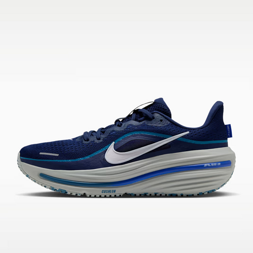 Calzado de correr para hombre Nike Winflo 12