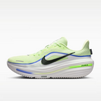 Calzado de correr para hombre Nike Winflo 12