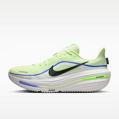Calzado de correr para hombre Nike Winflo 12