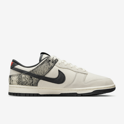 Calzado para Hombre Nike Dunk Low Retro SE