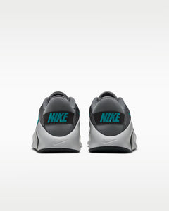 Calzado de entrenamiento para hombre Nike Flex Train