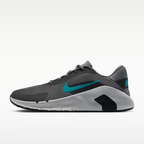 Calzado de entrenamiento para hombre Nike Flex Train
