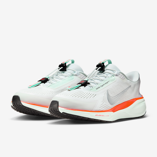 Calzado de correr para Hombre Nike Pegasus EasyOn