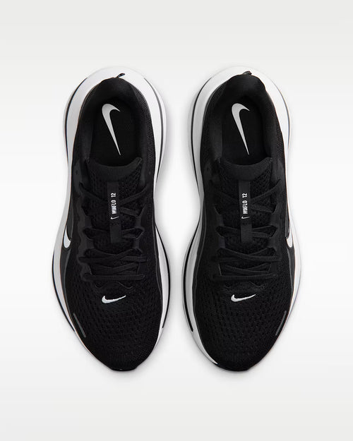 Calzado de correr para mujer Nike Winflo 12